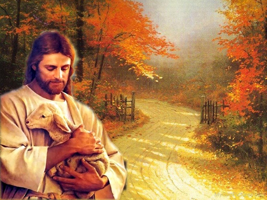 Jesus Christ Holding A Cute Lamb - God Pictures